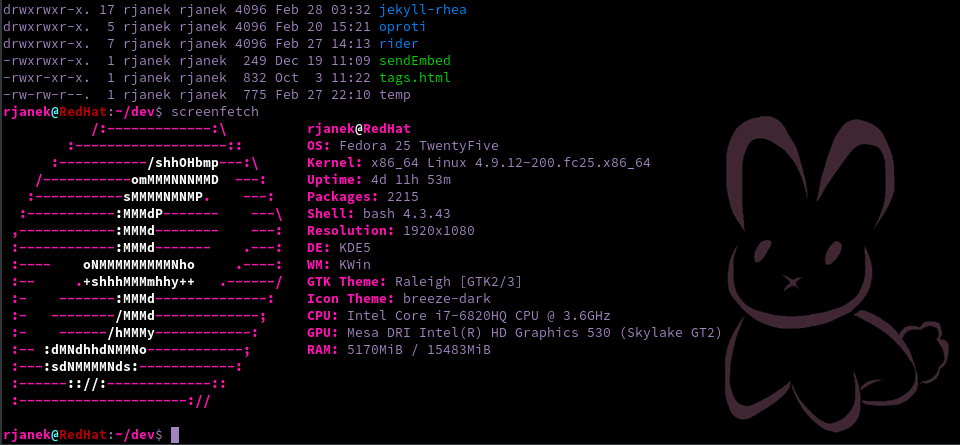 Fedora 25 and the Console Bunneh