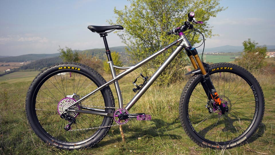 Rhea's titanium hardtail